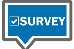 Access Survey